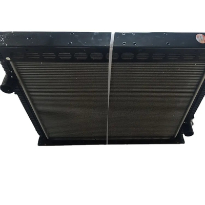 sinotruk chassis parts-WG9719530231 6 radiator supplier